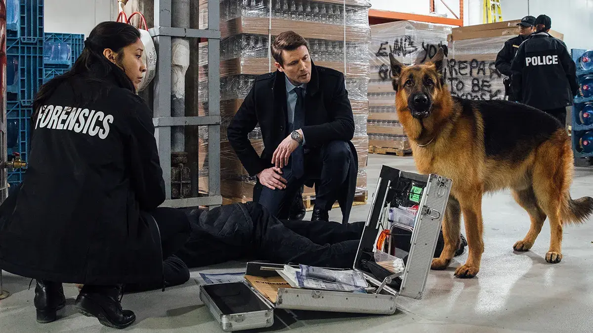 Stream Hudson & Rex series 1-7 now in U&Alibi on demand.