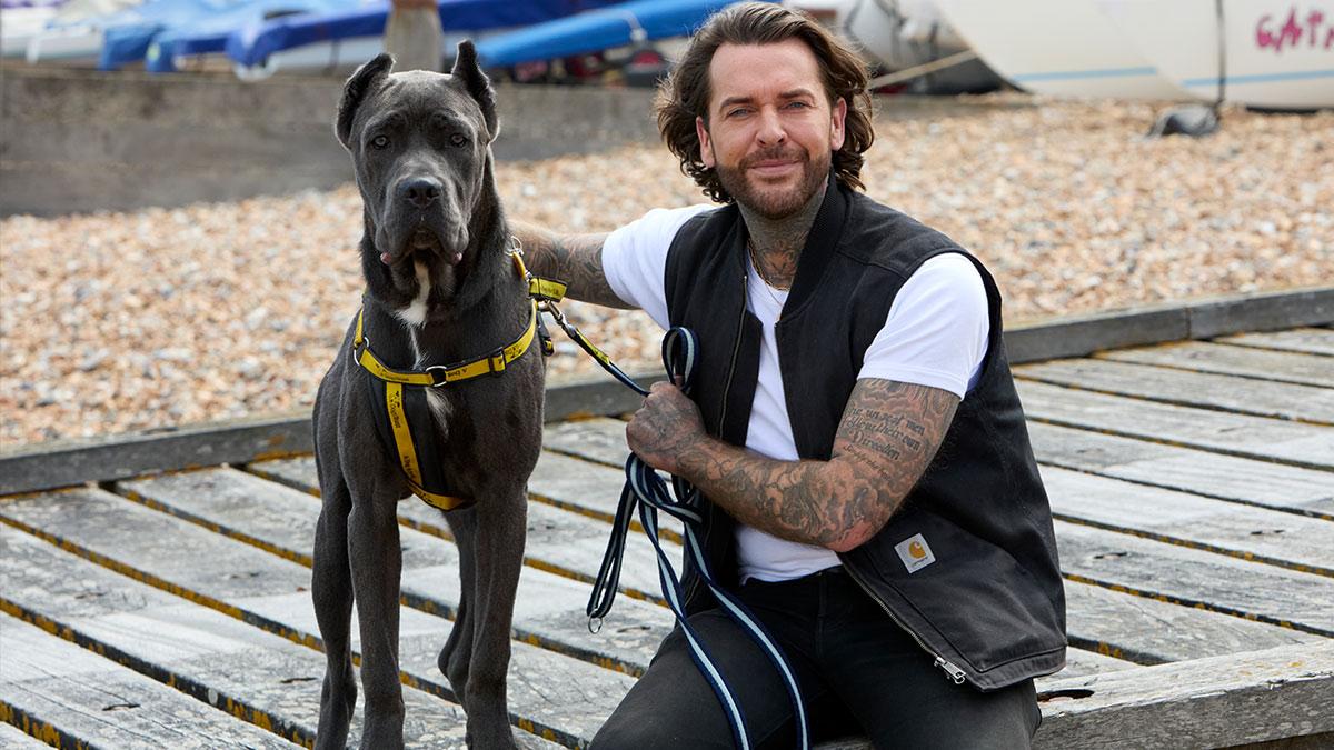 Stream series 2 of Pete Wicks: For Dogs’ Sake in U&W on demand or  Apps > U from Monday 13 October.