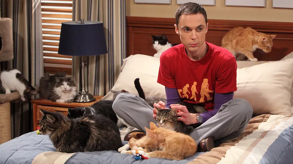The Big Bang Theory and more great shows to watch on TLC at no extra cost.