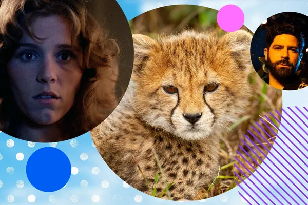 Blood Simple, Malika Leopard Huntress and Foals: Rip Up The Road, plus what else to watch on the Virgin TV Ultra HD channel in March.