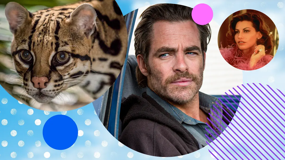 American Ocelot, Hell Or High Water, Showgirls and more on the Virgin TV Ultra HD channel.