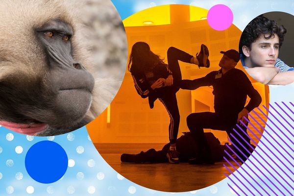 King Of The Mountain Baboons, Hanna and Call Me By Your Name – watch these and more in UHD on Virgin TV Ultra HD in July.