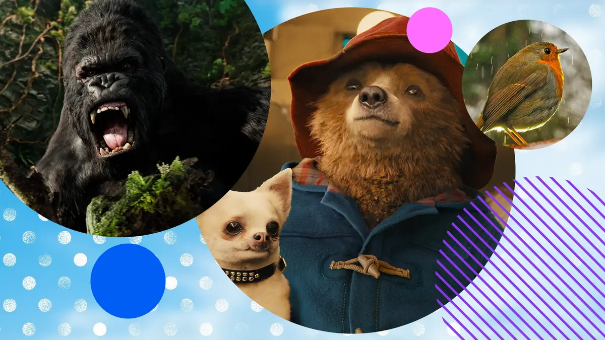 King Kong, Paddington and The Nature Of Christmas, all on Virgin TV Ultra HD this December.