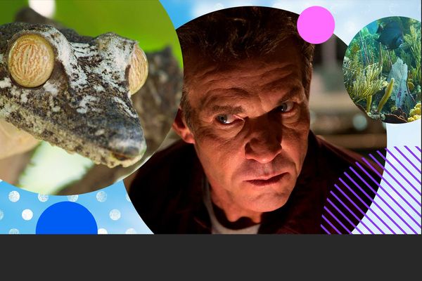 What to watch in ultra HD this October on Virgin TV Ultra HD