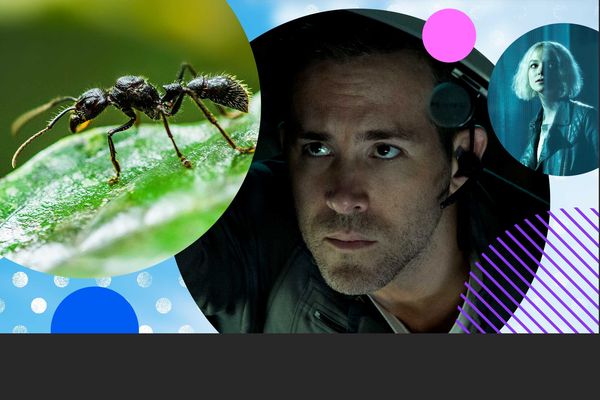 Fabulous Insects, Dirty John, Hanna and more superb titles coming to the Virgin TV Ultra HD channel this November.