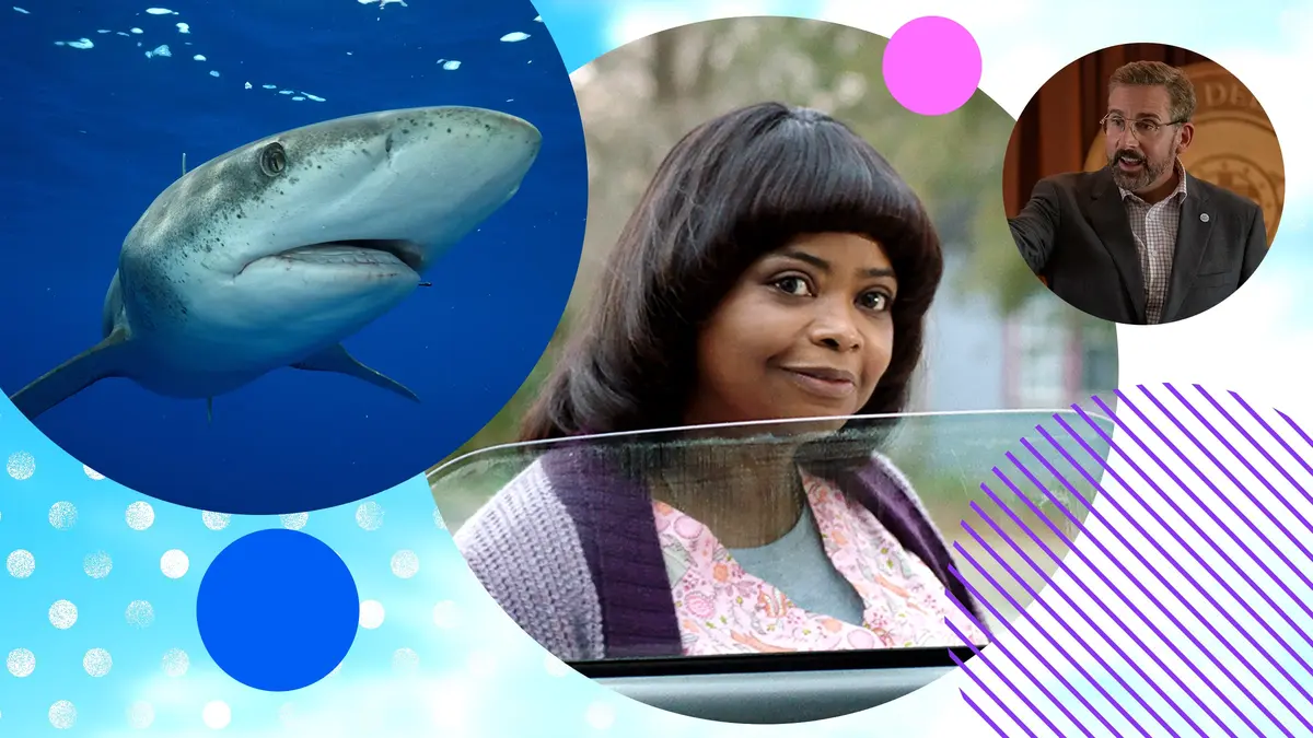 Nature documentaries and great movies this month on Virgin TV Ultra HD.