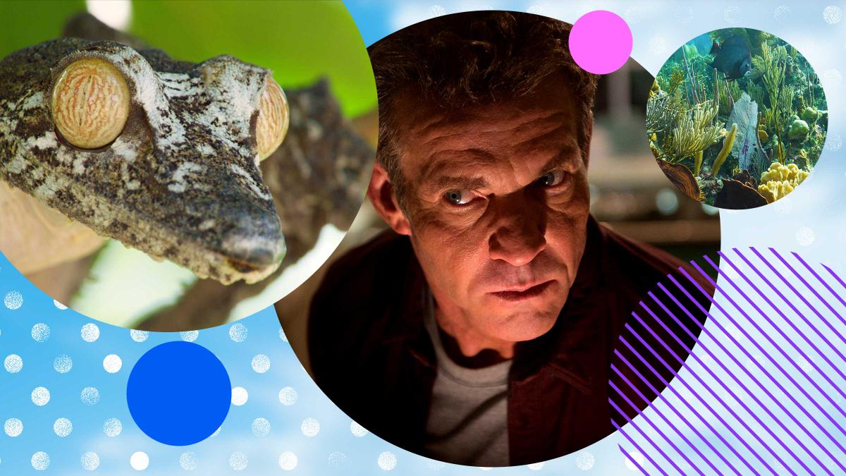 What to watch in ultra HD this October on Virgin TV Ultra HD