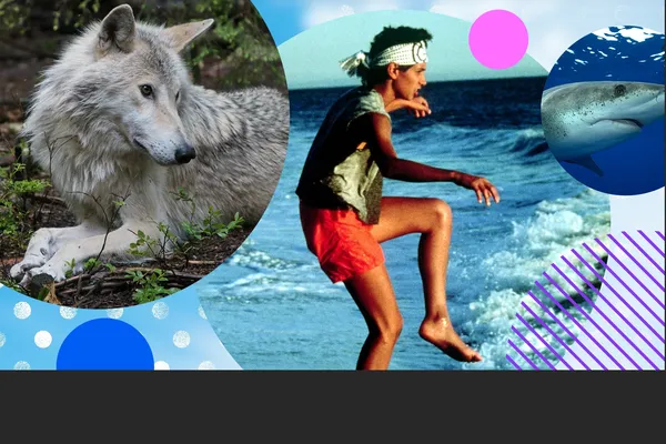 Wolf Vs Bear, The Karate Kid and Oceanic Whitetip: The Shipwreck Shark, plus what else to watch on the Virgin TV Ultra HD channel (CH 175/999) this August.