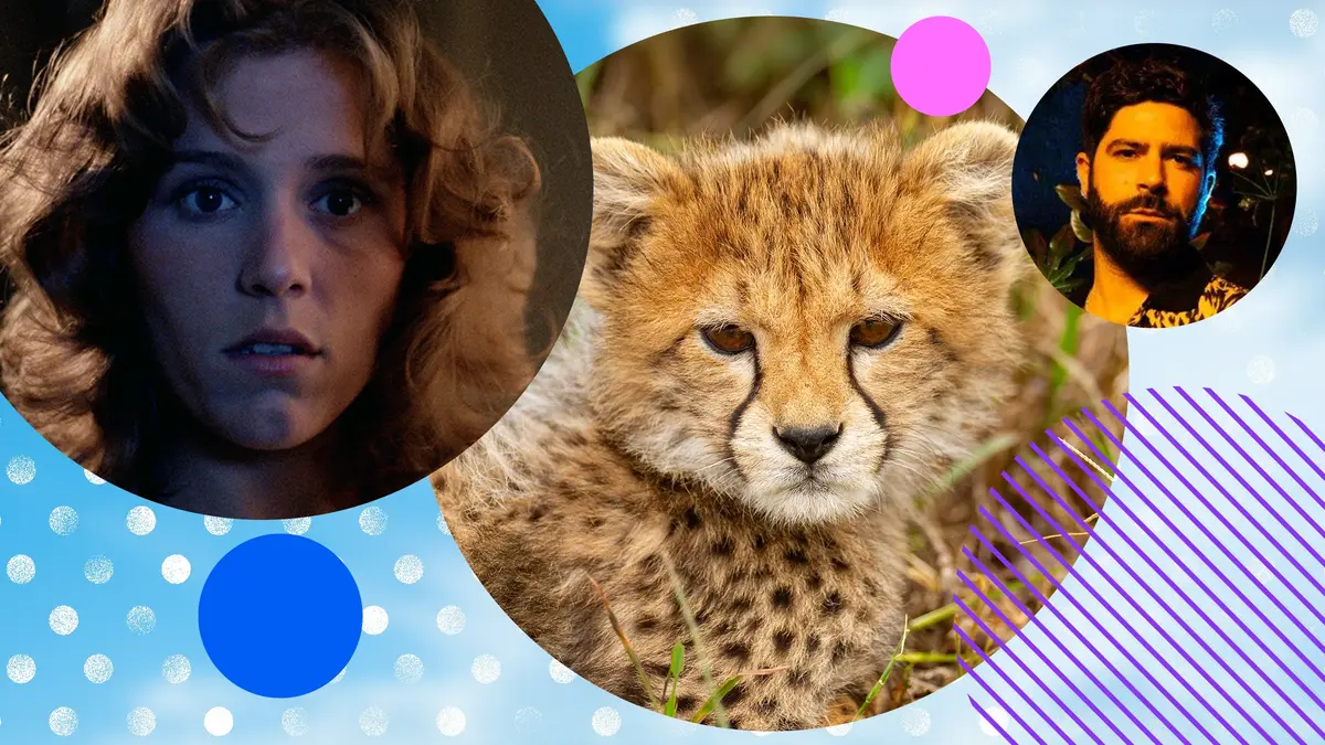 Blood Simple, Malika Leopard Huntress and Foals: Rip Up The Road, plus what else to watch on the Virgin TV Ultra HD channel in March.