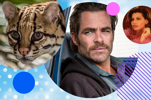 American Ocelot, Hell Or High Water, Showgirls and more on the Virgin TV Ultra HD channel.