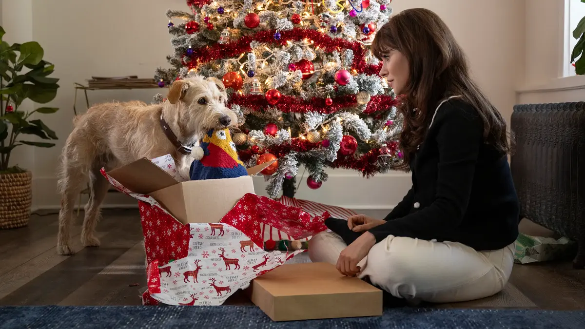 Merv, a new Christmas movie on Prime Video and Virgin TV