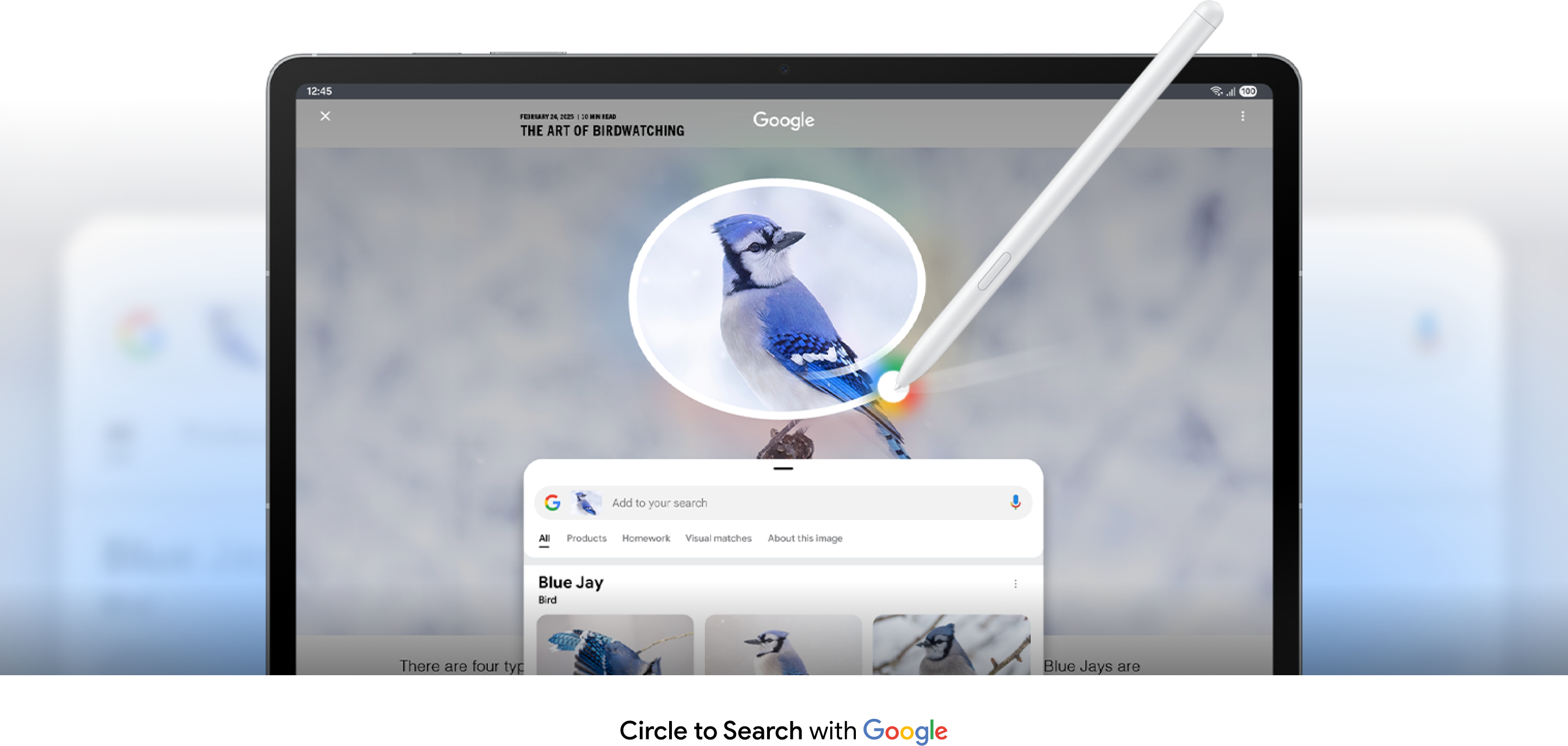 Google Search circling a blue jay bird