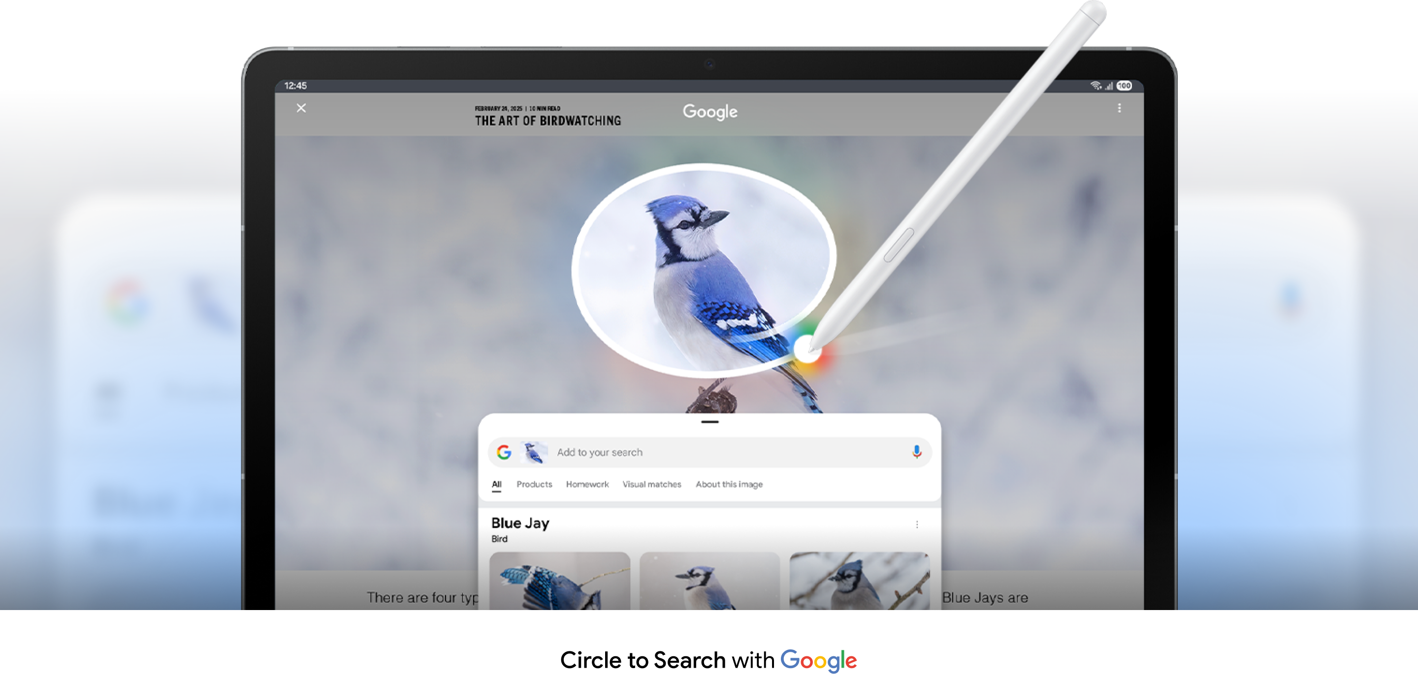 Google Search circling a blue jay bird