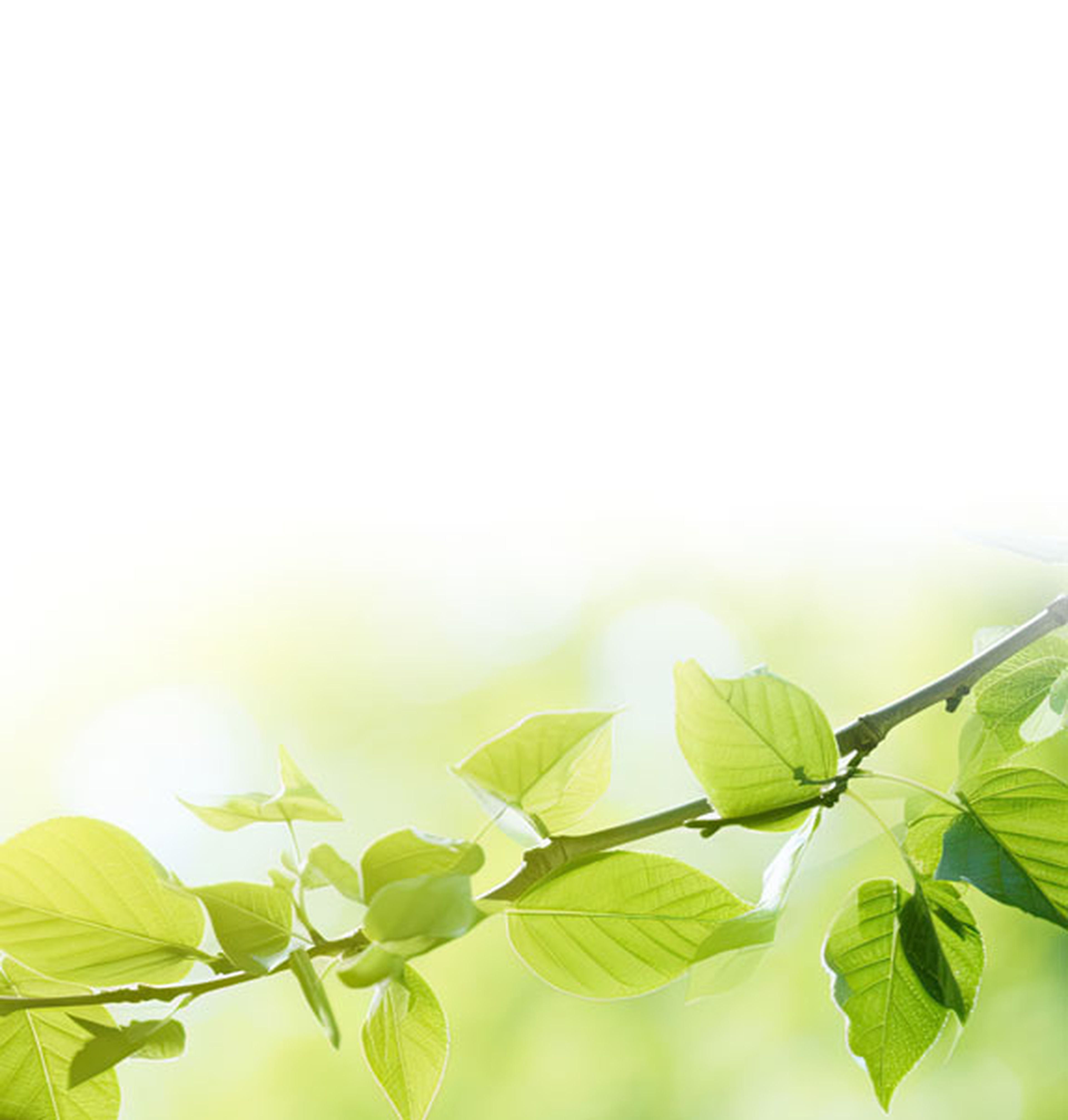 Media-banner