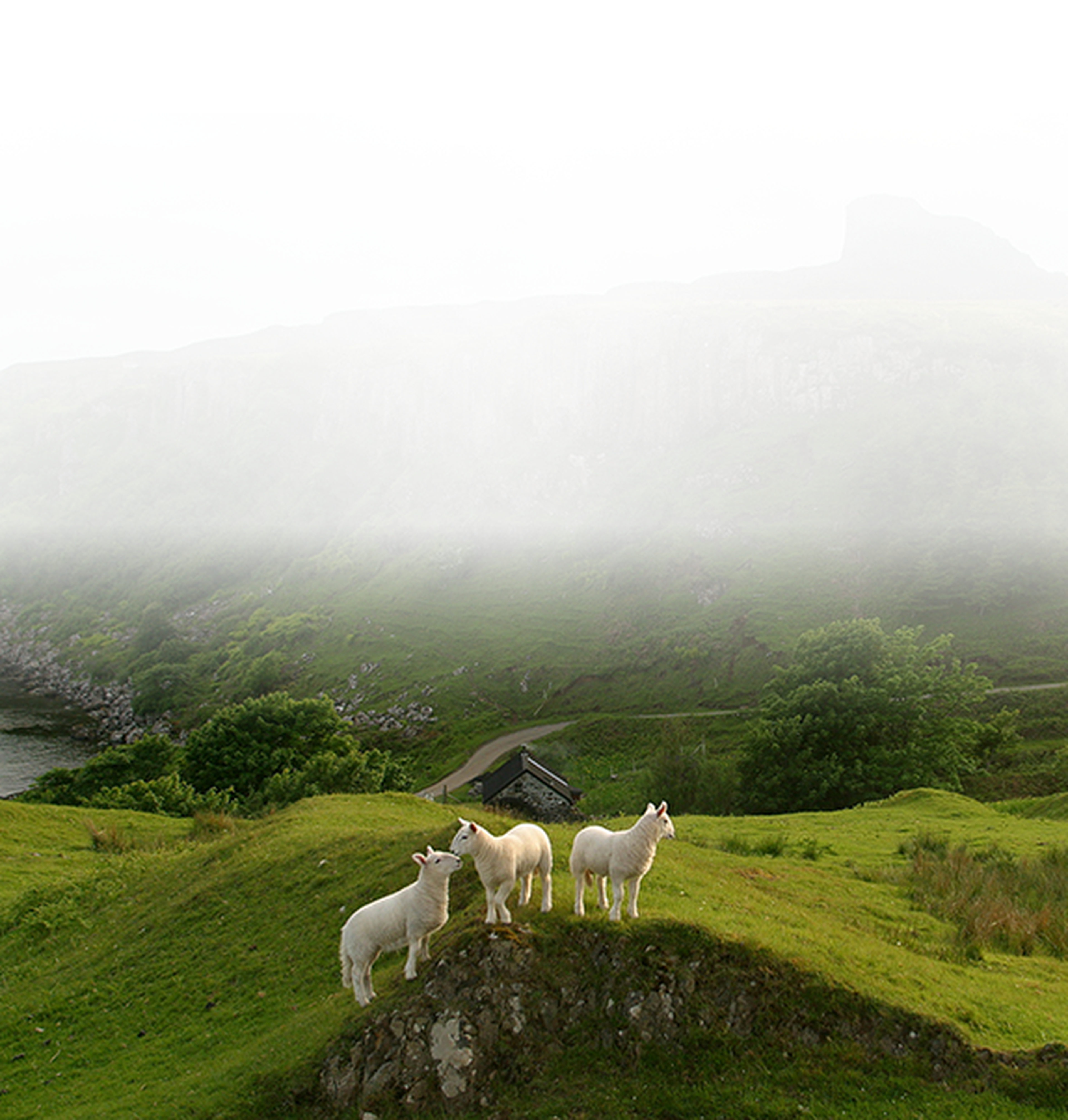 Girl with VR headset on head