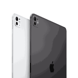Thumbnail of image