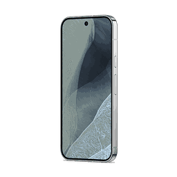 Thumbnail of image
