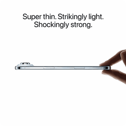 Thumbnail of image