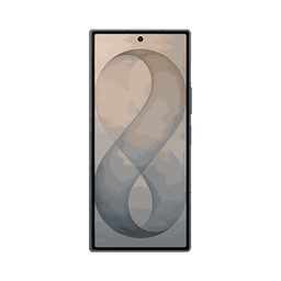 Thumbnail of image