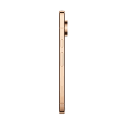 Thumbnail of image