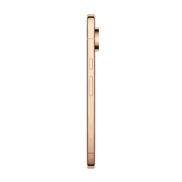 Thumbnail of image