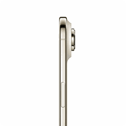 Thumbnail of image