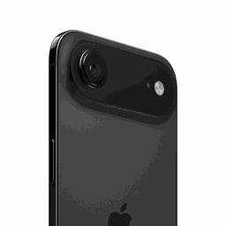 Thumbnail of image