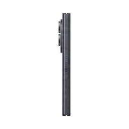 Thumbnail of image
