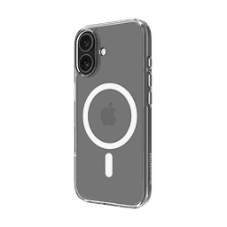 Thumbnail of image