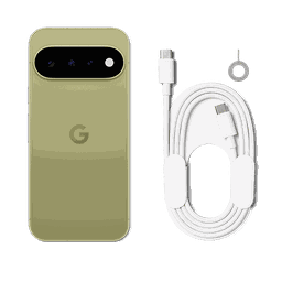 Thumbnail of image