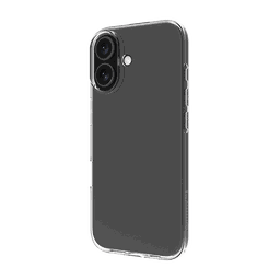 Thumbnail of image