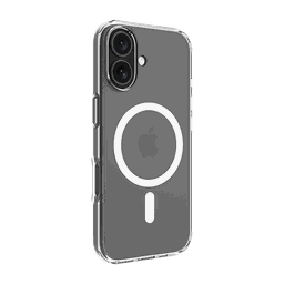 Thumbnail of image