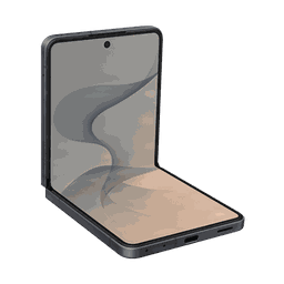 Thumbnail of image