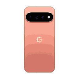 Thumbnail of image