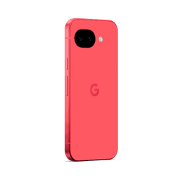 Thumbnail of image