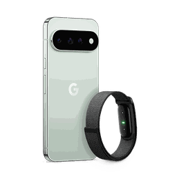 Thumbnail of image