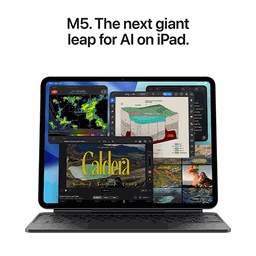 Thumbnail of image