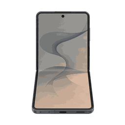 Thumbnail of image