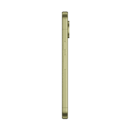 Thumbnail of image