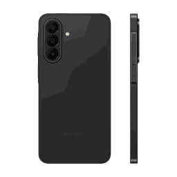 Thumbnail of image