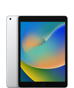 iPad (9th generation)