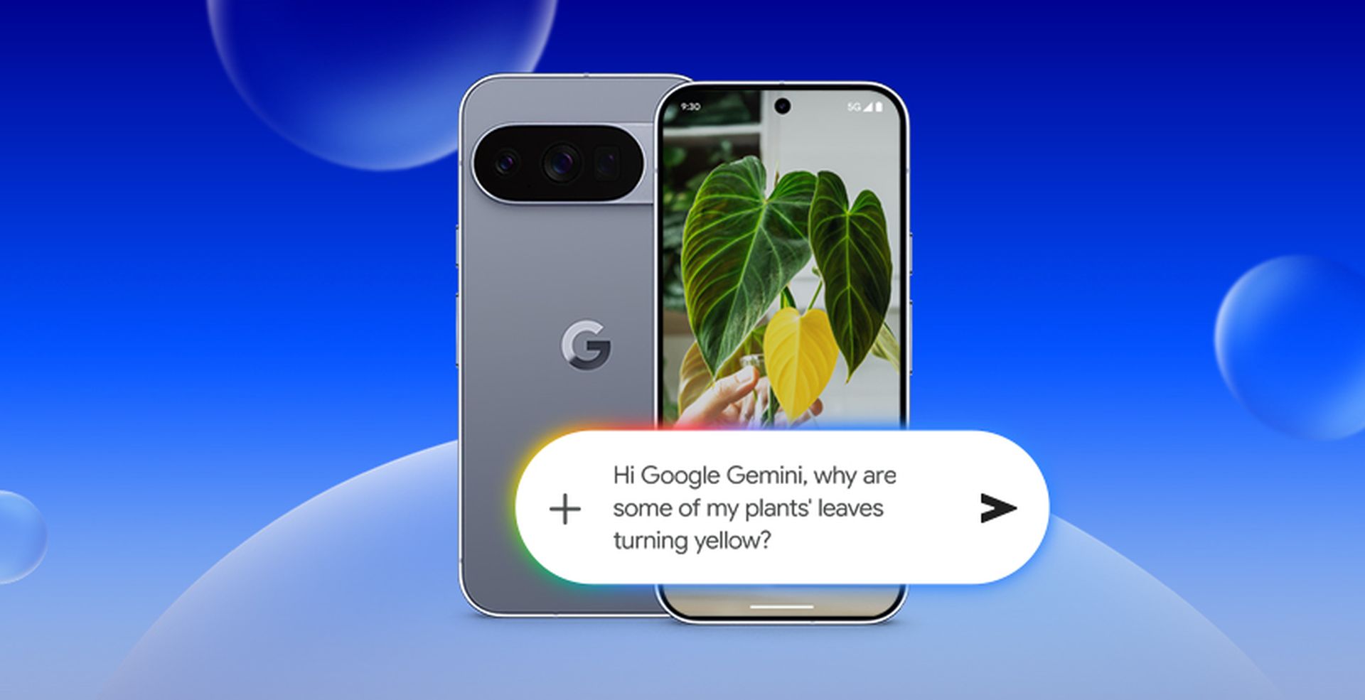 Smartphone with plant image on screen and Google Gemini voice assistant inquiry about yellowing leaves, set against a blue background with bubbles.