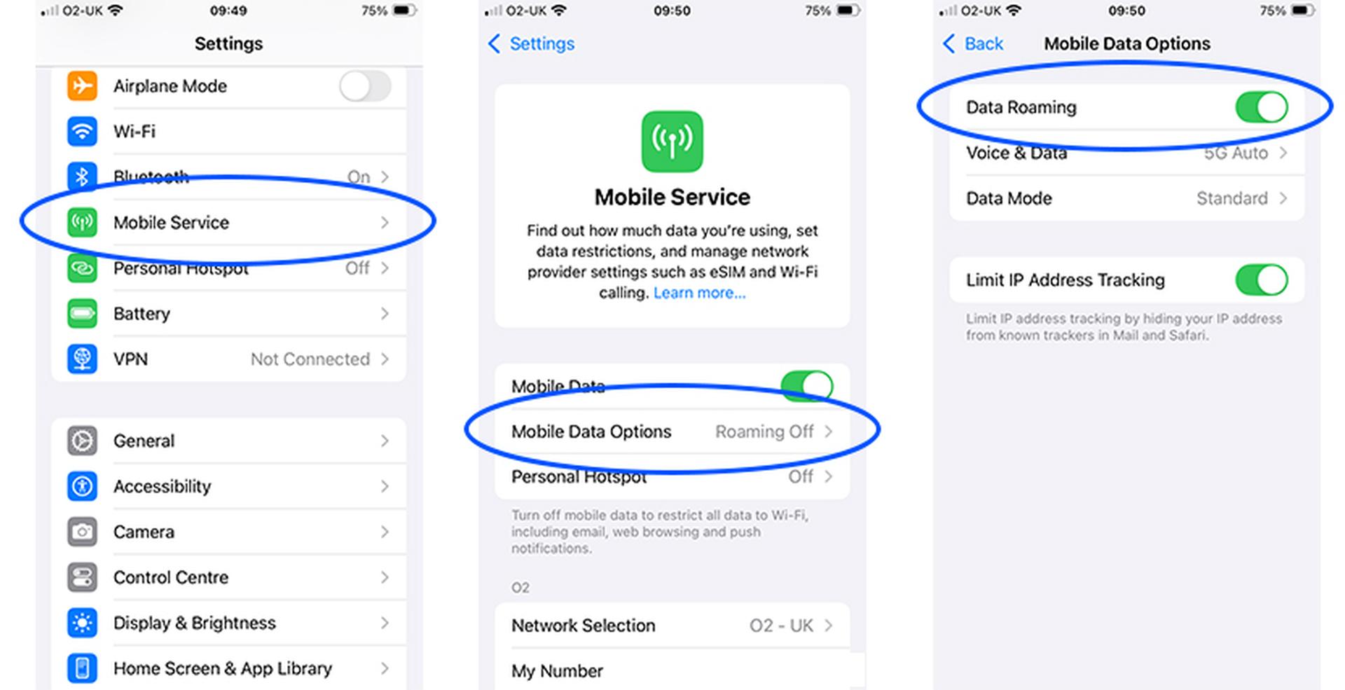 Smartphone settings showing steps to enable data roaming: Mobile Service, Mobile Data Options, and Data Roaming toggled on.