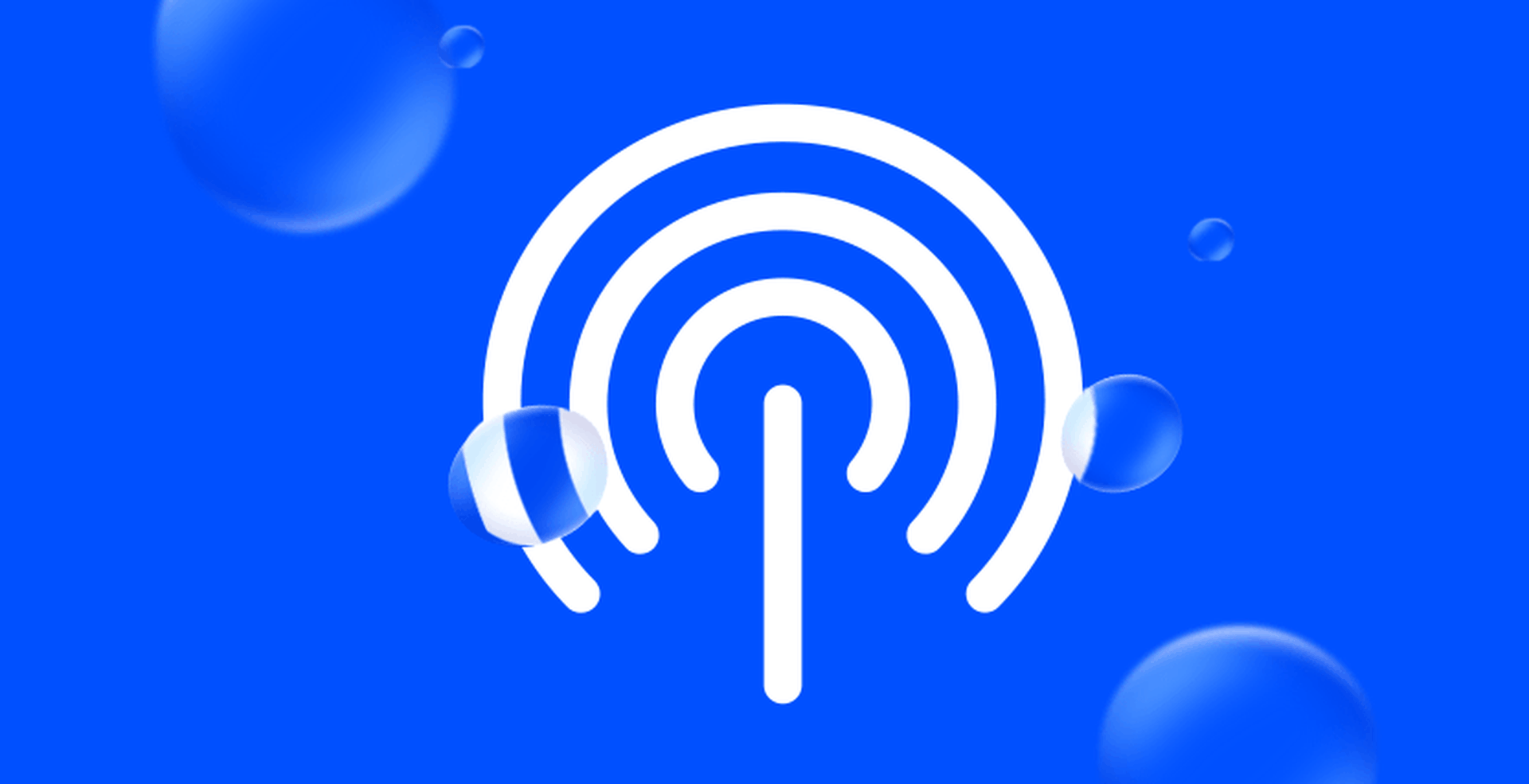 Network