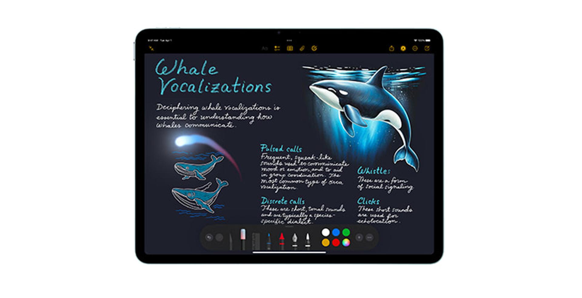 Tablet displaying notes on whale vocalizations with illustrations of whales and diagrams of sound waves.
