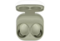 Galaxy Buds 2 device