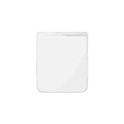 Thumbnail of image