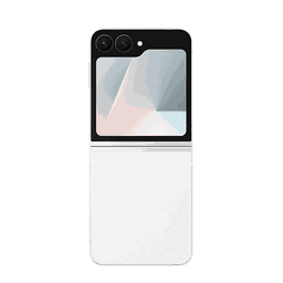 Thumbnail of image