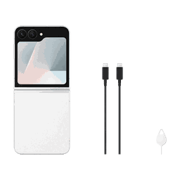 Thumbnail of image