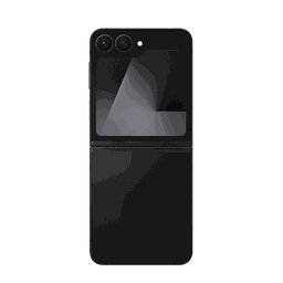 Thumbnail of image